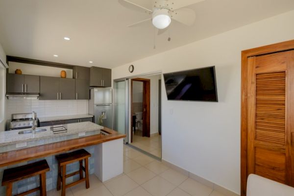 This image shows a modern kitchen and living area with a wooden counter, stools, a TV on the wall, and a door leading to another room.