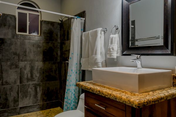 The image shows a bathroom with a wooden vanity, a vessel sink, a mirror, a toilet, and a tiled shower area with a curtain.