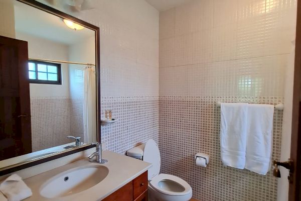 A bathroom with a sink, mirror, toilet, towel rack with towels, and mat. There's a door and window. Ceiling light fixture visible.